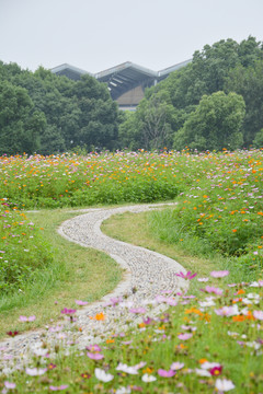 花间小路