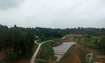 重庆乡村风景