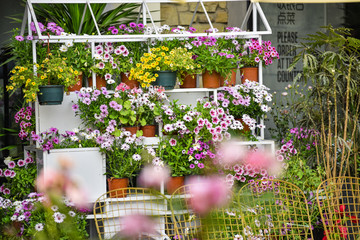 鲜花装饰背景墙