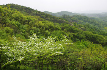 江淮丘陵群山