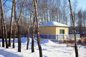 园林小屋树林雪景