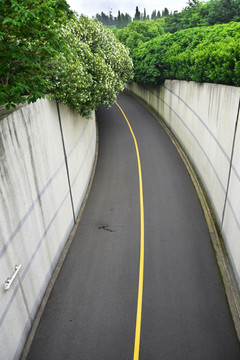 上海东方绿舟东方绿洲道路