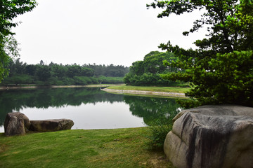 上海东方绿洲东方绿舟山水风景