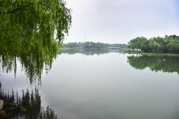 上海东方绿舟东方绿洲
