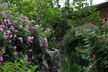 花卉景观打造