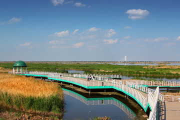 观光桥 大庆 龙凤 湿地 桥