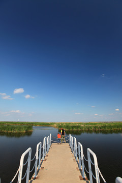 龙凤 湿地 桥