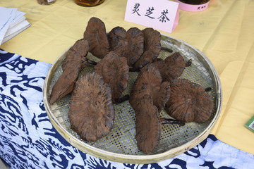 野生灵芝