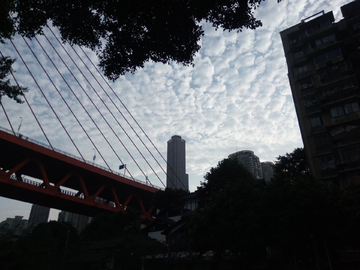 东水门大桥风景