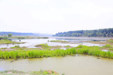 湿地 水洼