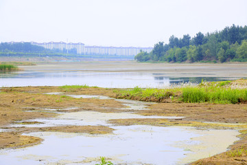 湿地 水洼