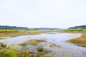 水洼湿地