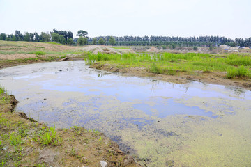 水洼湿地