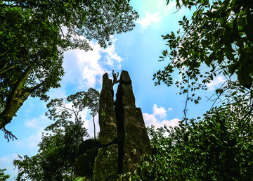 仙人锯板 风景 云绕