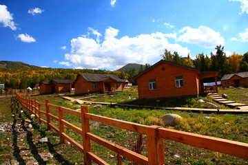 喀纳斯风光 游客住宿区