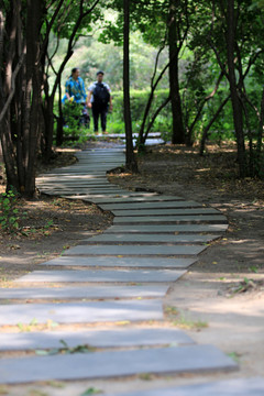 林间小路
