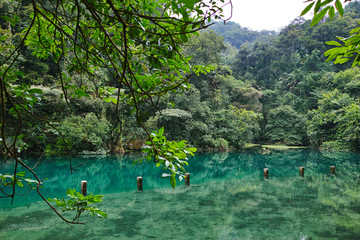 鼎湖山公园