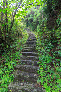 南岳衡山禹王城登山阶梯