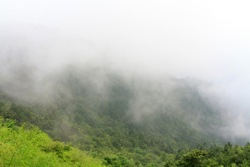 南岳衡山雾中风光