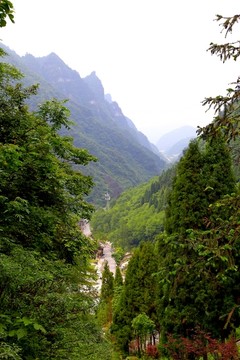 娄山关景区