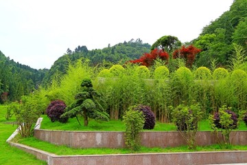 娄山关 景区