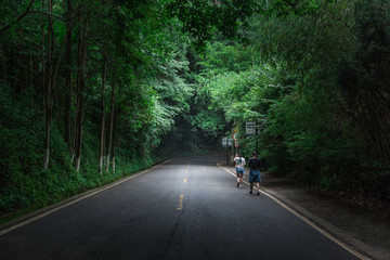 林间公路