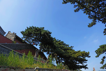 妙峰山风景区