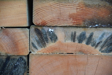木纹 年轮纹 木头 木纹板