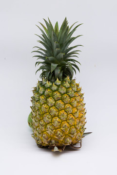 菠萝