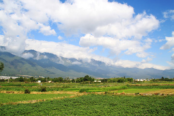 乡村风景