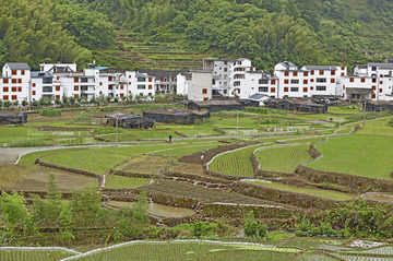 新农村