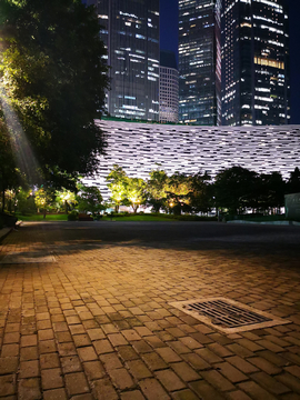 广州图书馆夜景