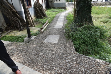 石子路 石头路