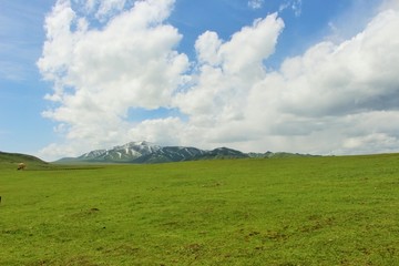甘南草原