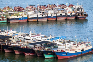 海港 渔业捕捞 休渔期 渔船