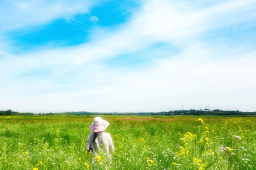 芳草地