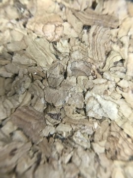 木屑纹理