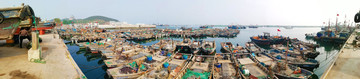 烟台滨海渔港全景图