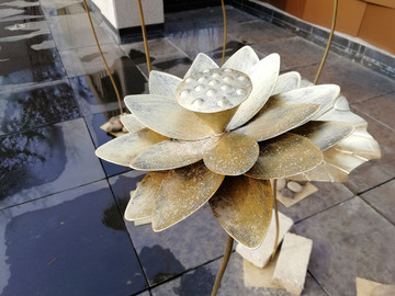 铜塑莲花