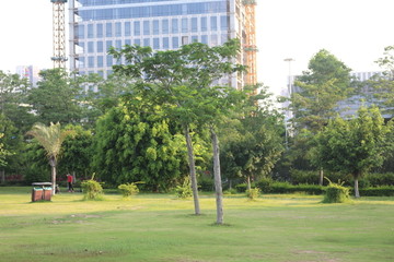 城市花园草坪