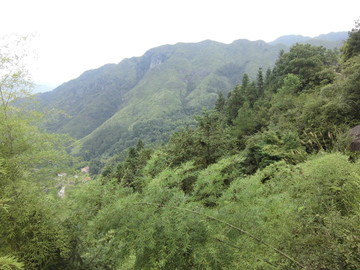 浙江大山