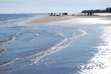 阳光海岸