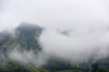 山里的云海