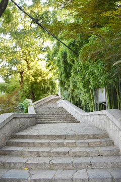 登山步道