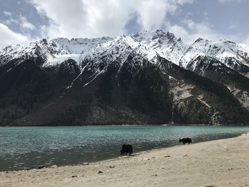 雪山