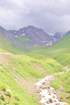 那拉提草原雪山溪流