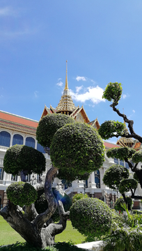 泰国大皇宫绿化