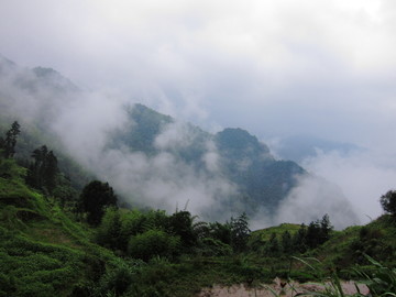 西岭云海