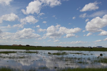 湿地 蓝天白云 风景如画 绿野