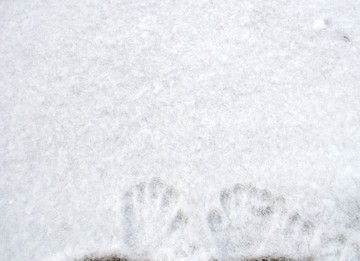 雪地 手印